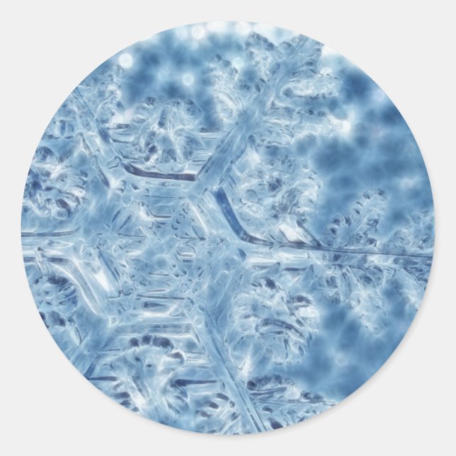 Sticker Rond Gelée Cristal de glace Flocon de neige fractal (Devant)