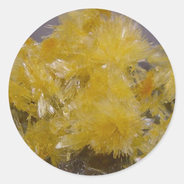 Sticker Rond gem2 - Customisé (Devant)