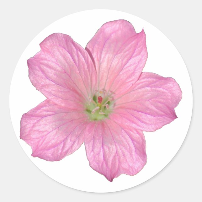 Sticker Rond Géranium rose (Devant)