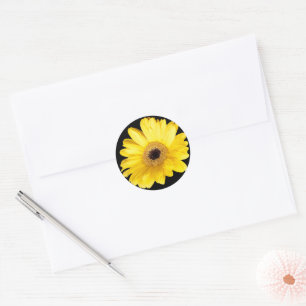Sticker Rond Gerber Jaune Daisy Fermer la photo