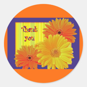 Sticker Rond Gerbera Daisy (Gerbera hybrida) - Jaune