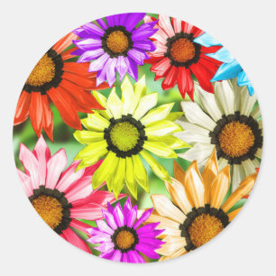 Sticker Rond Gerbera fleurs colorées