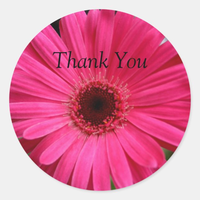 Sticker Rond Gerbera Rose Daisy (Devant)