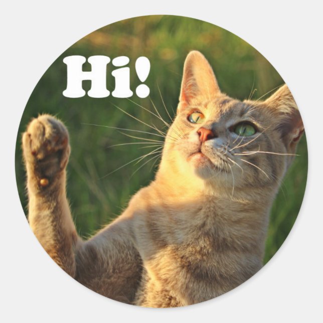 Sticker Rond Ginger Cat Dit Bonjour ! (Devant)