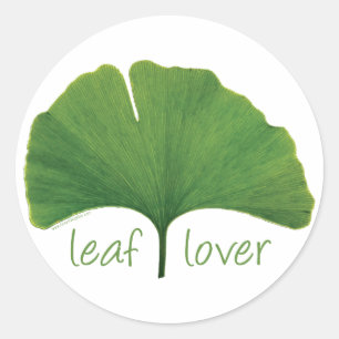 Sticker Rond Gingko Leaf