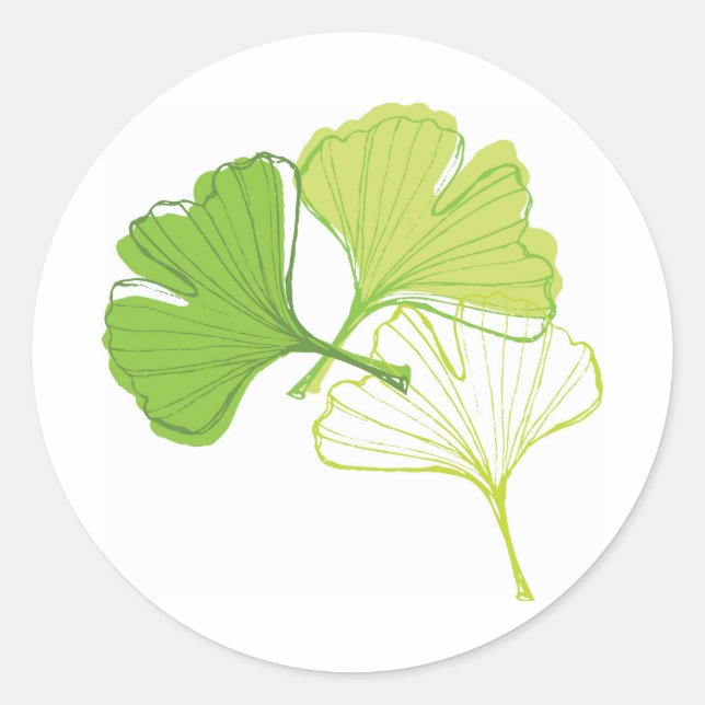 Sticker Rond Ginkgo Leaf (Devant)