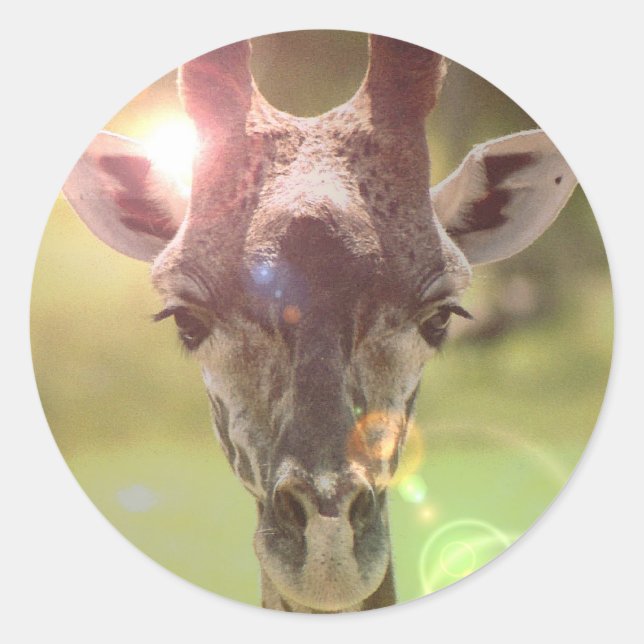 Sticker Rond girafe (Devant)