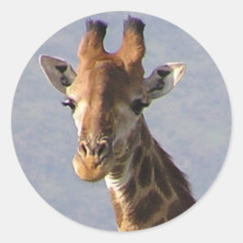 Sticker Rond Giraffe