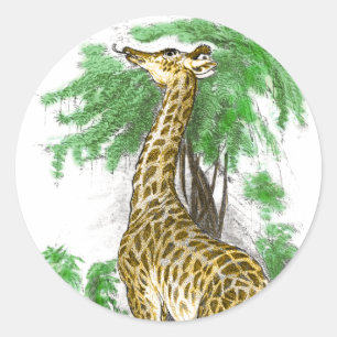 Sticker Rond Giraffe Gifts