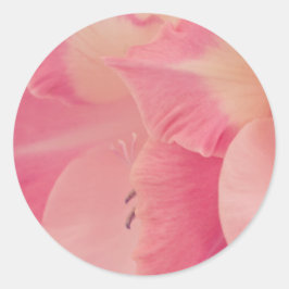 Sticker Rond Gladiola Petals