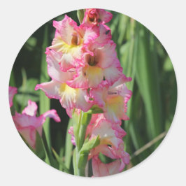 Sticker Rond Gladiolus