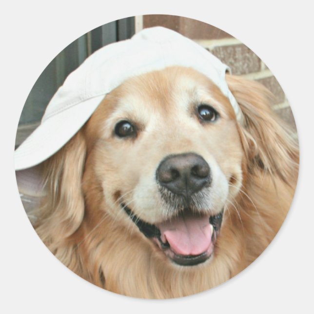Sticker Rond Golden Retriever Avec Casquette De Baseball (Devant)