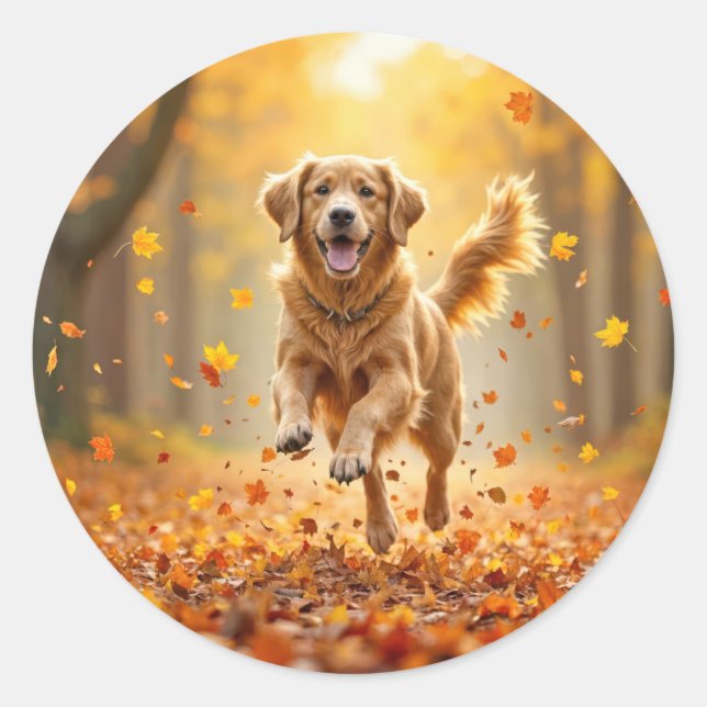 Sticker Rond Golden Retriever En Automne Woods (Devant)