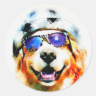 Sticker Rond Golden Retriever en Casquette et lunettes de solei