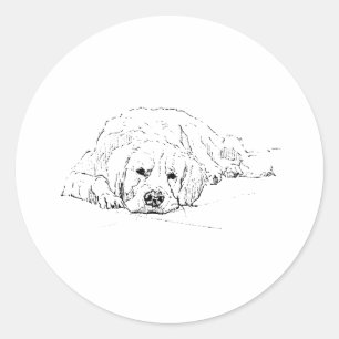 Sticker Rond Golden Retriever endormi, Dessin de chien