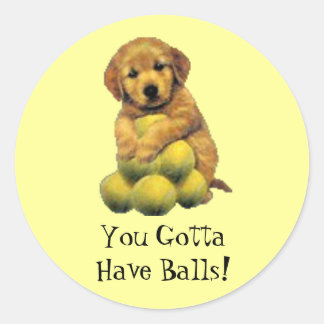 Sticker Rond Golden retriever que vous avez obtenu d'avoir