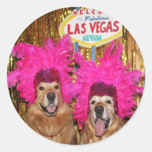 Sticker Rond Golden Retriever Shogirls