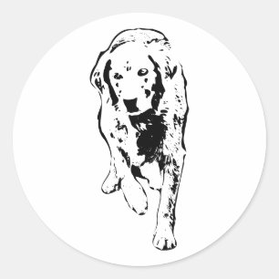 Sticker Rond Golden Retriever Stried Automne
