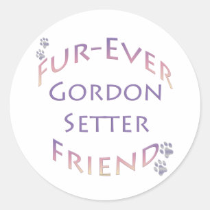 Sticker Rond Gordon Setter Furever