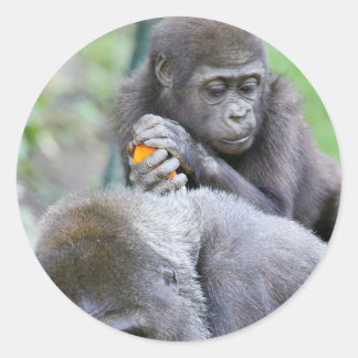 Sticker Rond Gorilla et bébé