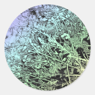 Sticker Rond Graines multicolores