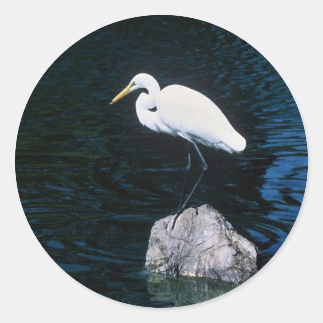 Sticker Rond Grand Aiguille (Devant)