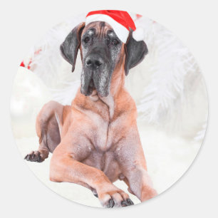 Sticker Rond Grand Danois Chapeau Joyeux Noël