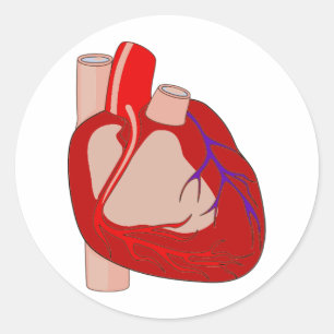 Sticker Rond Grand Hearted