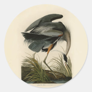 Sticker Rond Grand Héron bleu d'Audubon Marais Oiseau