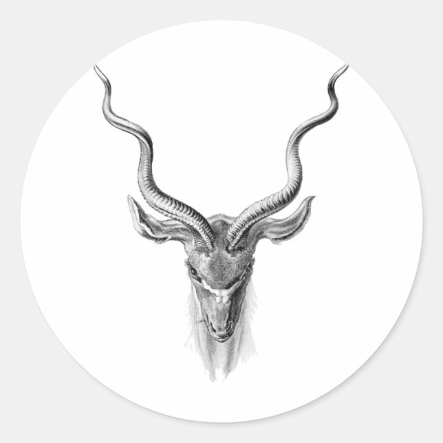 Sticker Rond Grand Kudu (Devant)