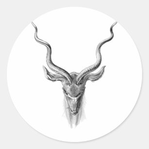 Sticker Rond Grand Kudu