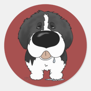 Sticker Rond Grand nez Terre-Neuve