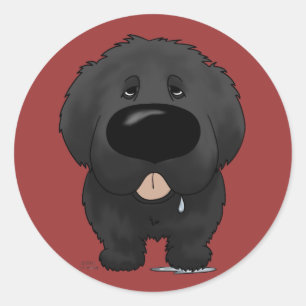 Sticker Rond Grand nez Terre-Neuve