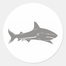 Grand requin blanc