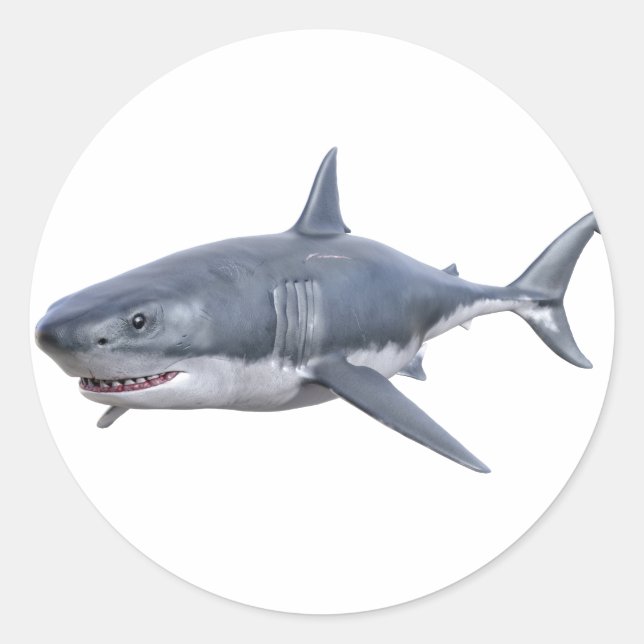 Sticker Rond grand requin blanc nageant à droite (Devant)