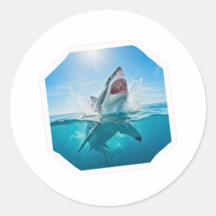 Sticker Rond Grand Requin Blanc Puissant - Prédateur Océanique
