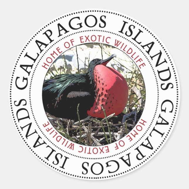 Sticker Rond Grande frégate Oiseau Galapagos (Devant)