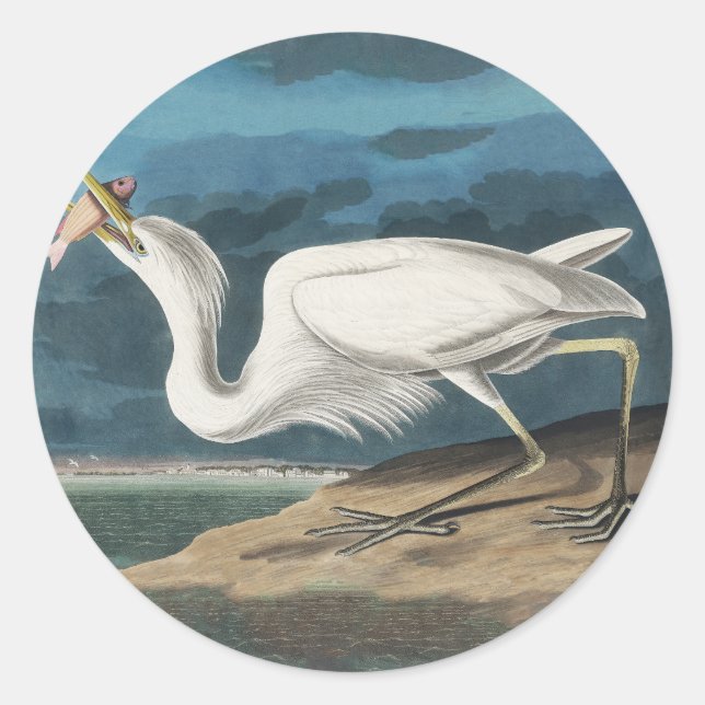 Sticker Rond Grande Peinture de la faune d'Audubon Heron blanc (Devant)