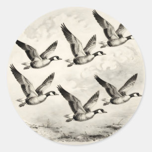 Sticker Rond Gravure vintage d'oies du Canada en vol