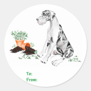 Sticker Rond Great Dane Naughty Pup Arlequin UC