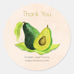 Sticker Rond Green Avocado Merci de fruits à vie morte