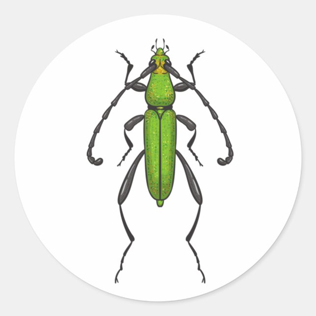 Sticker Rond Green beetle (Devant)