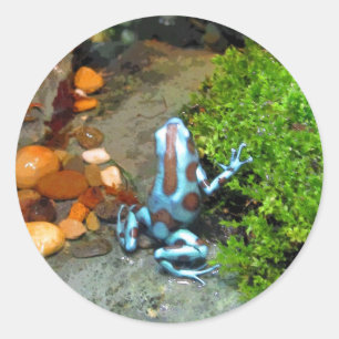 Sticker Rond Grenouille à tarte bleu argenté CB