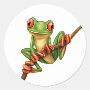Sticker Rond Grenouille d'arbre verte mignonne sur une branche