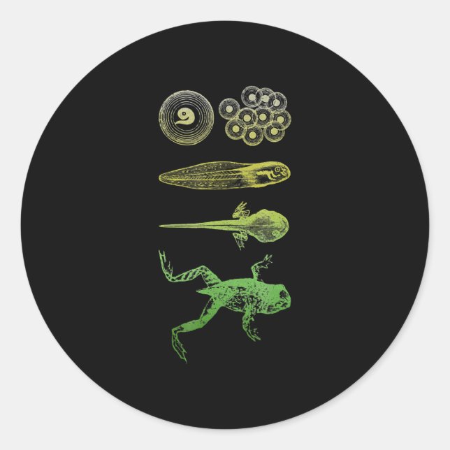Sticker Rond Grenouille Tadpole Métamorphose Cycle de vie Biolo (Devant)