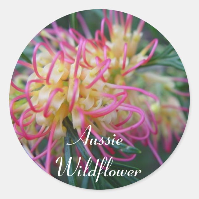 Sticker Rond Grevillea (Devant)