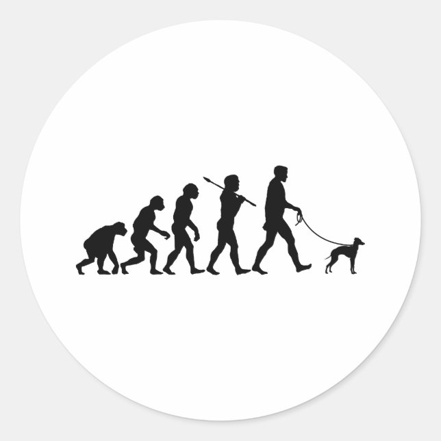 Sticker Rond Greyhound italien (Devant)