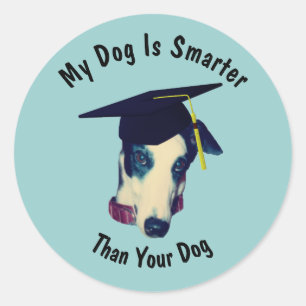 Sticker Rond Greyhound Mon chien plus intelligent que votre chi