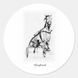 Sticker Rond Greyhound Trotter