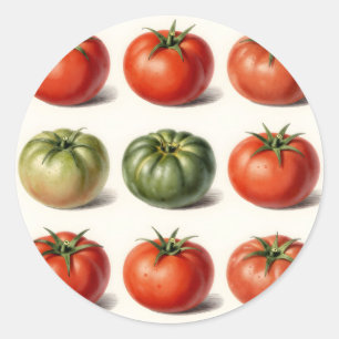 Sticker Rond Grille botanique de variétés de tomates anciennes 